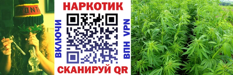 Гашиш Приозерск